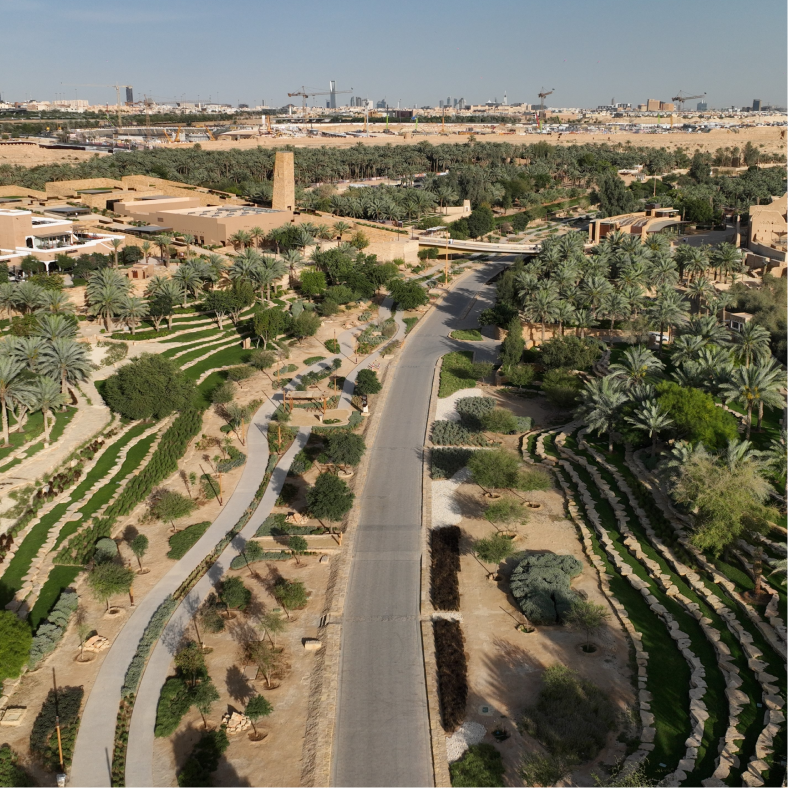 Wadi Hanifah: The First Lifeline