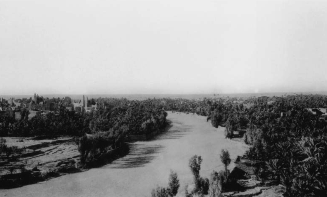 Image1